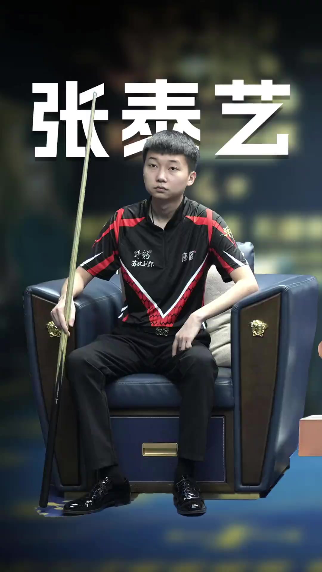 能将佩林卡 能将佩林卡